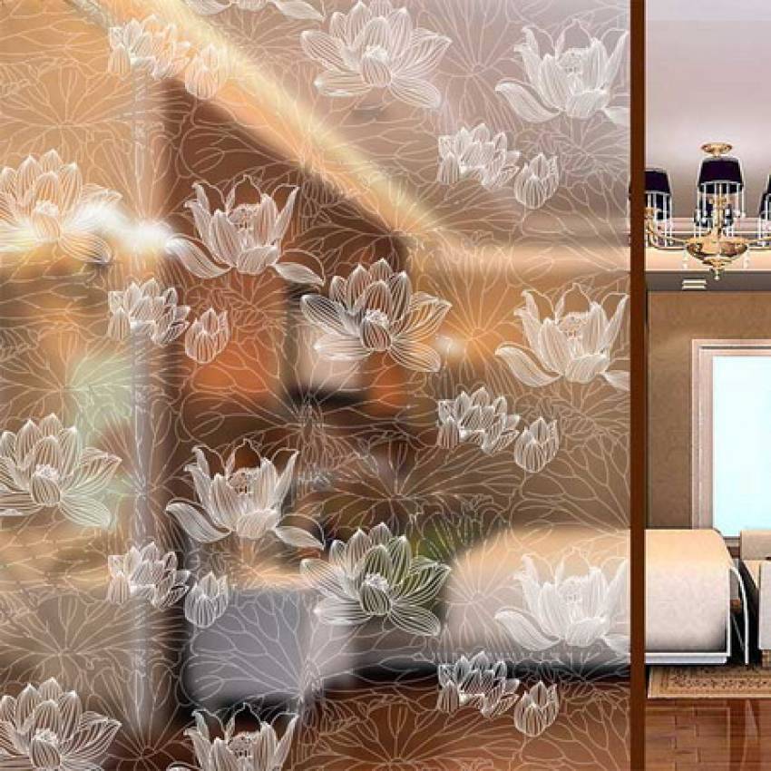 mẫu cửa kính cường lực đẹp